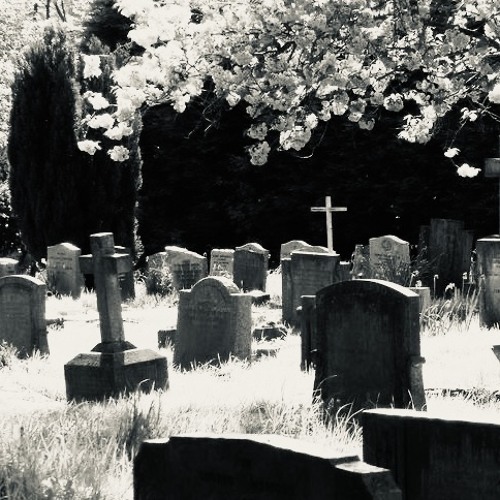 g r a v e . (p. sheepy)