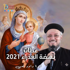 04- السعي للكمال المسيحي - نهضة العذراء 2021 - أبونا داود لمعي