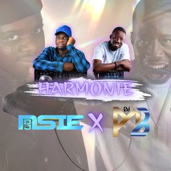 "Harmonie" Collaborative Mix By DJ NSIE AND DJ MB 2k24