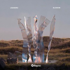 Blossom (Original Mix)