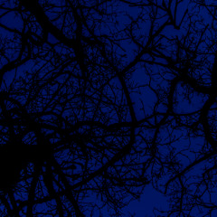 from the heart of dusk