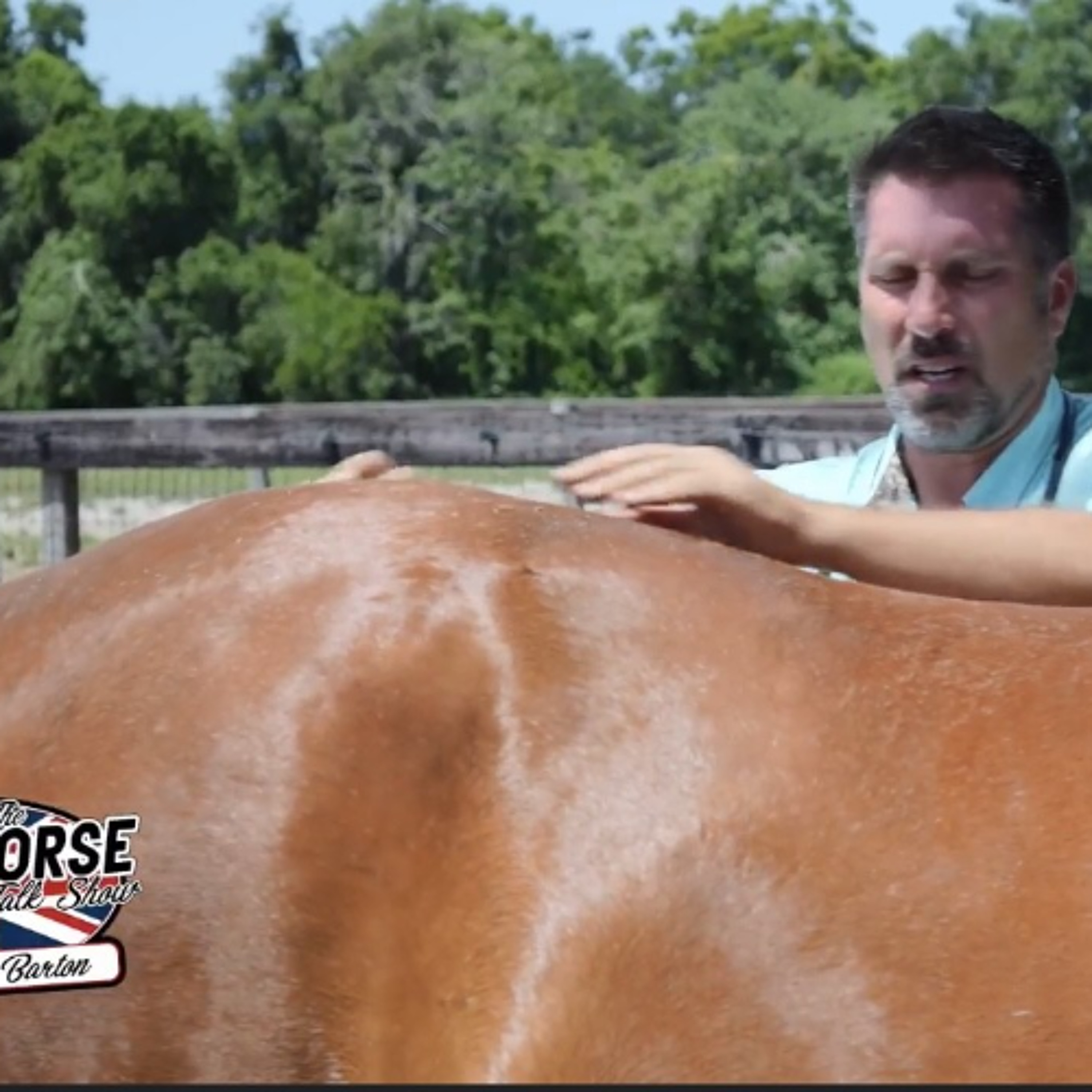 The Horse Talk Show w/Kyle Dewar, Steve Haskin & Dr. Adam Cayot/Kissing Spine in horses (6-3-25) episode artwork