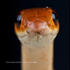 zituli space project - year of the snake
