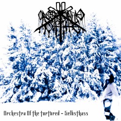 schadensbild - Selbsthass (Single)