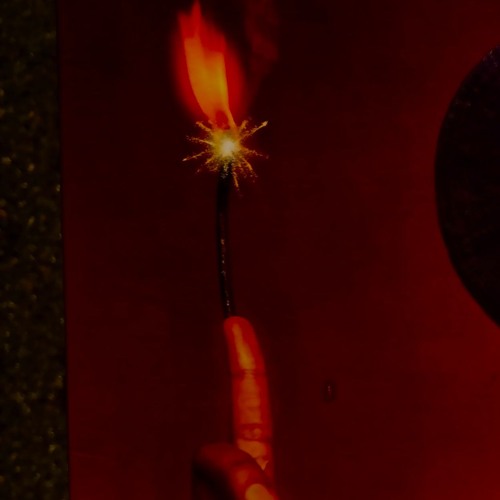 What's The Password? You Gotta Tell Me — It's The Name Of A Fish