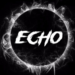 미친노래 (ECHO MEGA MVP REMIX)