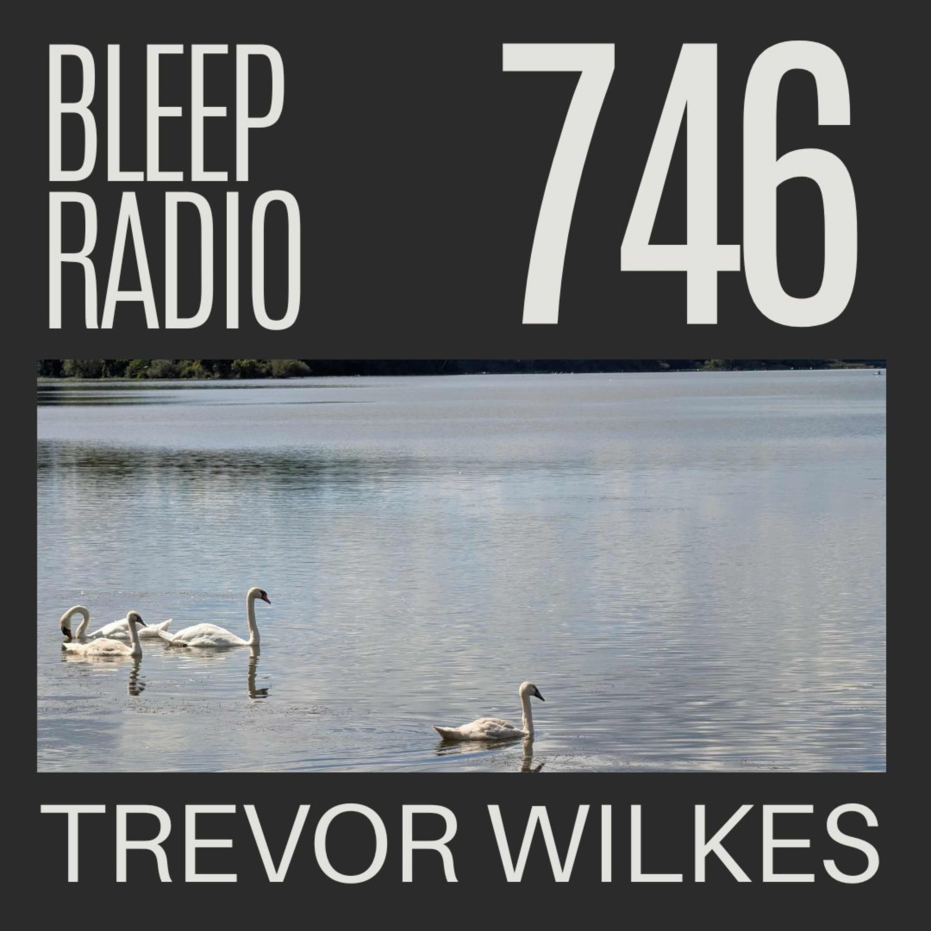 Bleep Radio #746 - Trevor Wilkes [50% Bleep] episode artwork