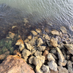 Paisaje Sonoro - Viaje a Cartagena