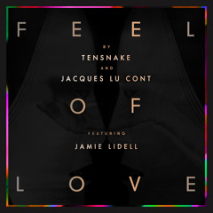 Feel Of Love (Boys Noize & Djedjotronic Remix) [feat. Jamie Lidell]