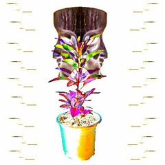 PHACEPLANT (Prod. By JUNKTOWN)