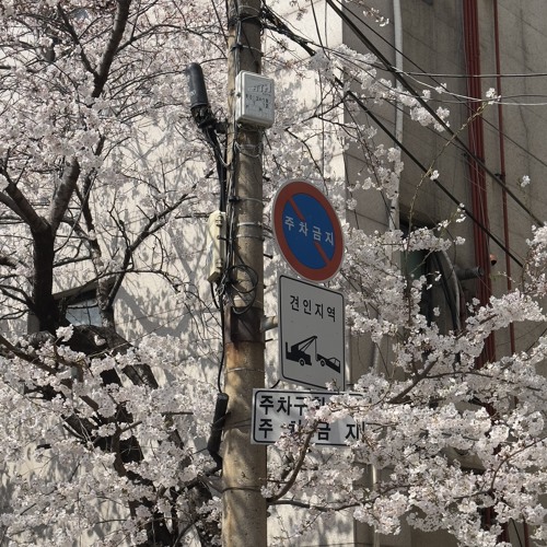 What's The Weather? (Demo)