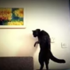 some vids (Joji happy type beat)