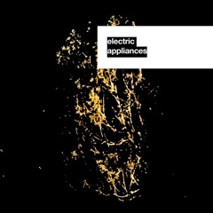 PREMIERE: Polybot - Virtual Mind [Electric Appliances]