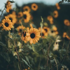 Kül Cem Adrian cover