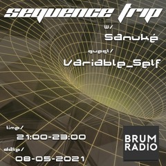 Guest Mixes