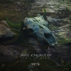JAVIIS - Taurus (Original Mix) **PREVIEW**
