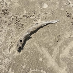 private beach
