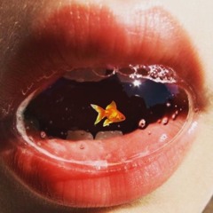 288 Freestyle // TRAIN STAR ft. McQueen, bubbleGUM