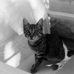 Idriss - Home session.4 |