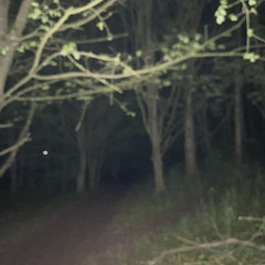 Conga Conga - super slowed + bass