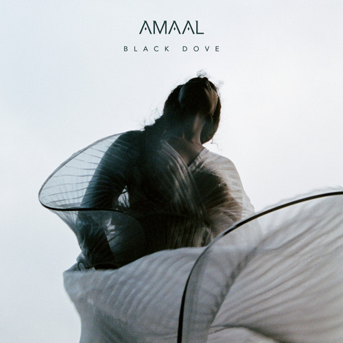 Amaal - Scream