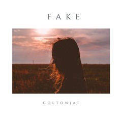 fake (prod. johnnyfriend)