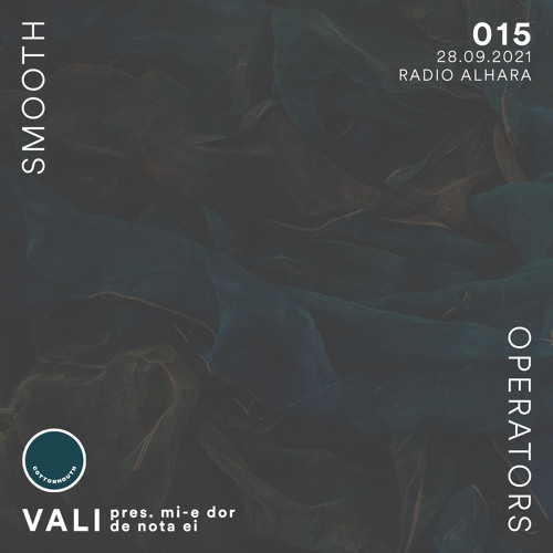 015 - Smooth Operators w/ Vali (Radio alHara, Bethlehem)