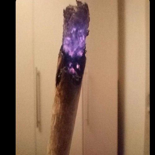 Trappo - Tommy Shelby (Exclu Mtl)