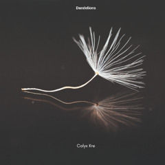 Dandelions