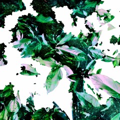 IR006 - Alien House - Flora - After Dark
