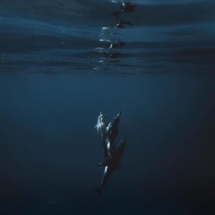 whereismylove - ( `_`)