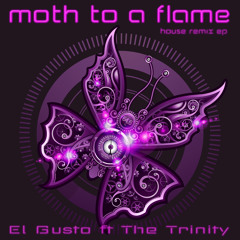 Moth to a Flame (Canis Remix)