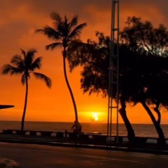 Leste drayk festa luweed - 2024