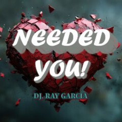 NEEDED YOU-Ray Garcia (FUNKY ELECTRO-BREAKS MIX)