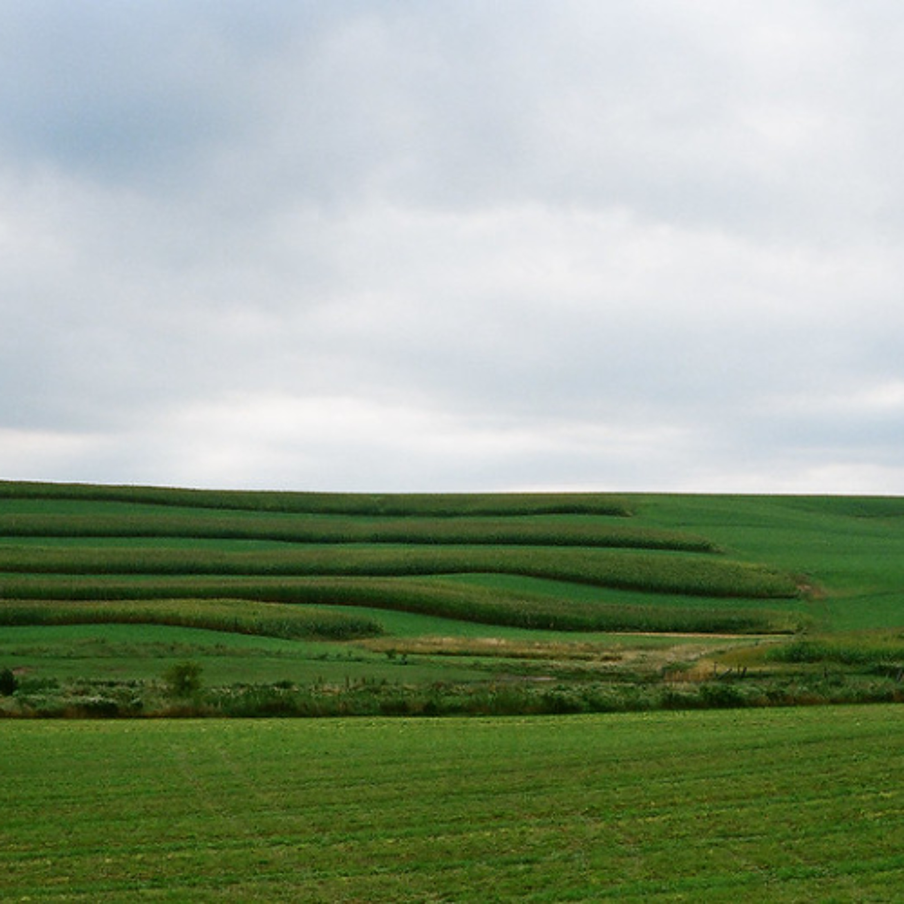 What issues are top of mind for rural voters?