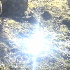 Spring welcoming sounds