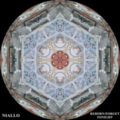 Niallo - Reborn