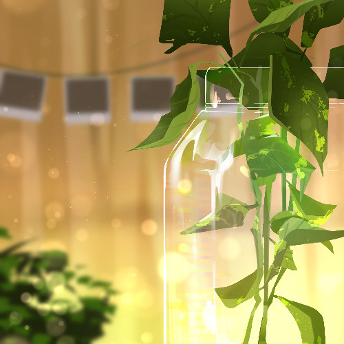 Sunlight in a Bottle