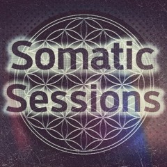 Somatic Sessions 036 (2 hour mix for D!!!) :D