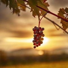 FFXIV Dawntrail - "Smile" (Credits Song)