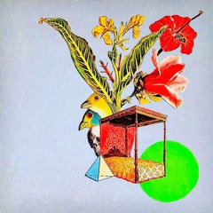 Fred Thomas - Wavelength