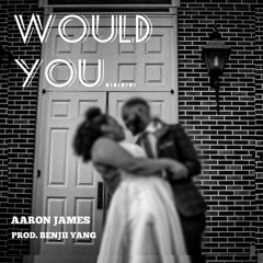 AARON JAMES - WOULD YOU