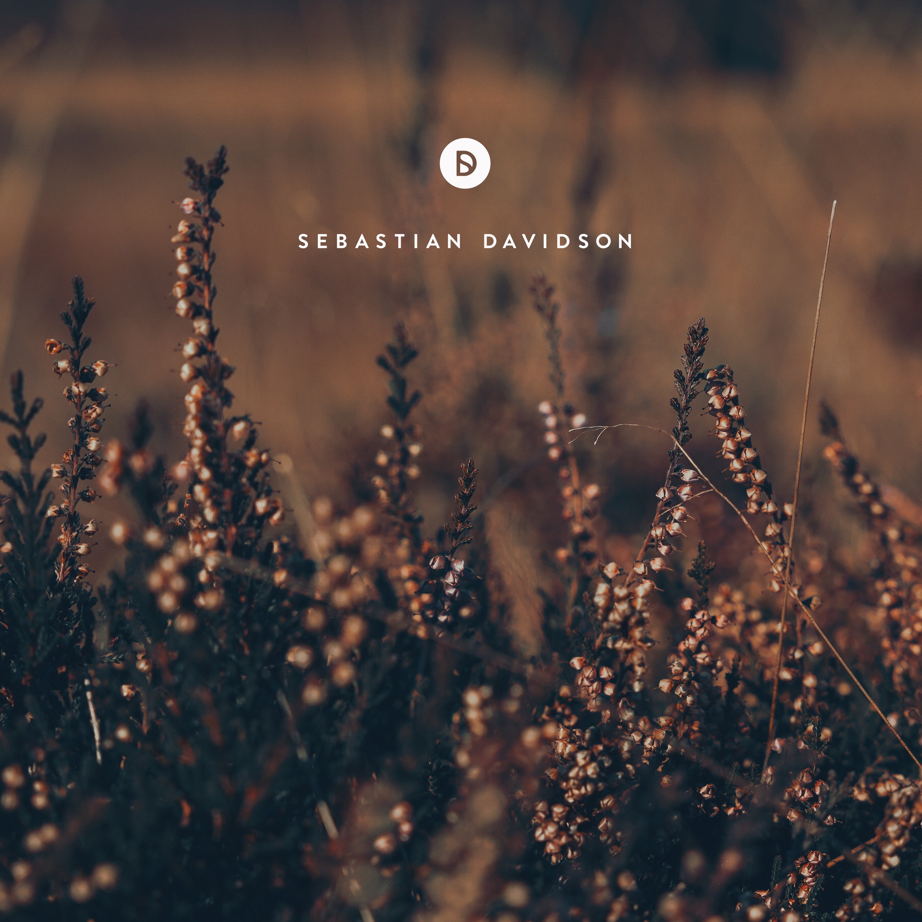 Voyage of Discovery by Sebastian Davidson