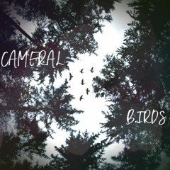 Cameral - Birds [free download]