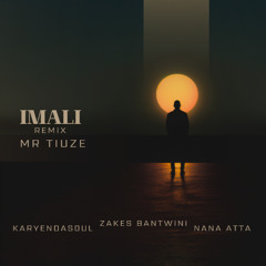 Karyendasoul, Zakes Bantwini ft Nana Atta (Mr Tiuze Remix)