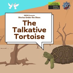 Episode 27: Stories Under the Stars - The Talkative Tortoise