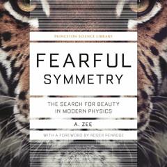 PDF/READ  Fearful Symmetry: The Search for Beauty in Modern Physics (Princeton S