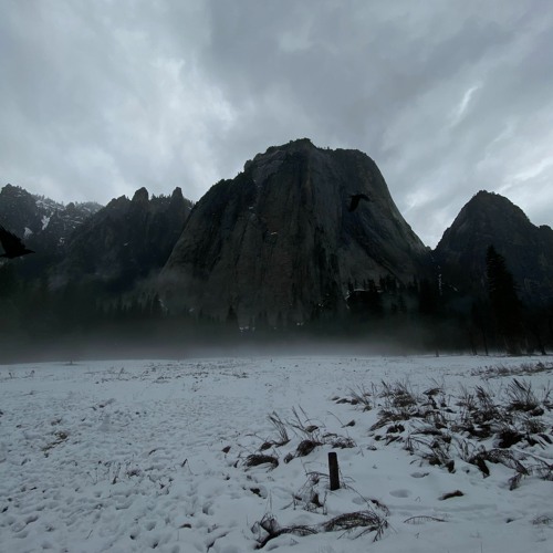 reeba - bon bon (ruby)