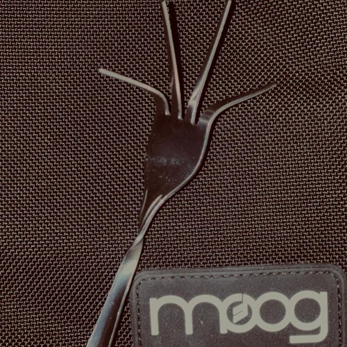 fork-in-moog