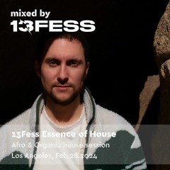 Essence of House Special Mix For PTDJA 2.28.2024